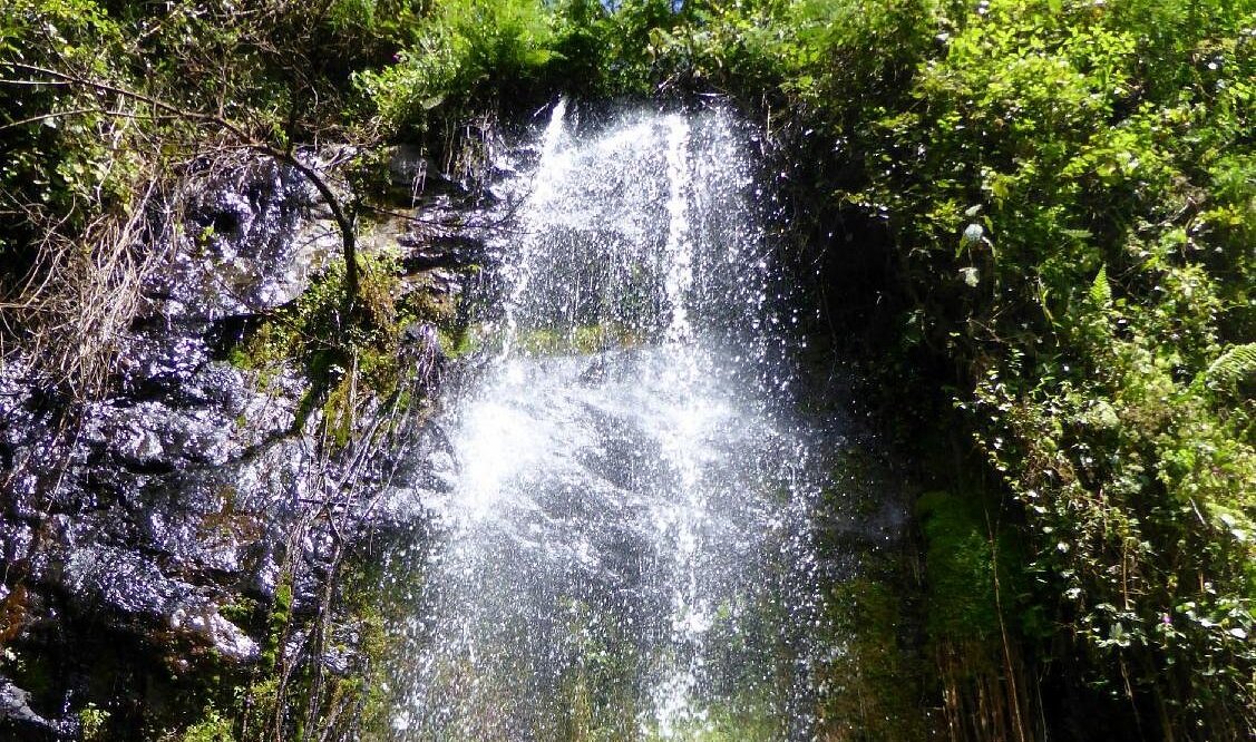 Image of waterfall in tigoni